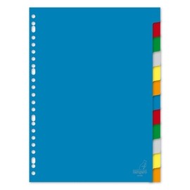 INTERCALAIRE PLASTIQUE A4 12TABS